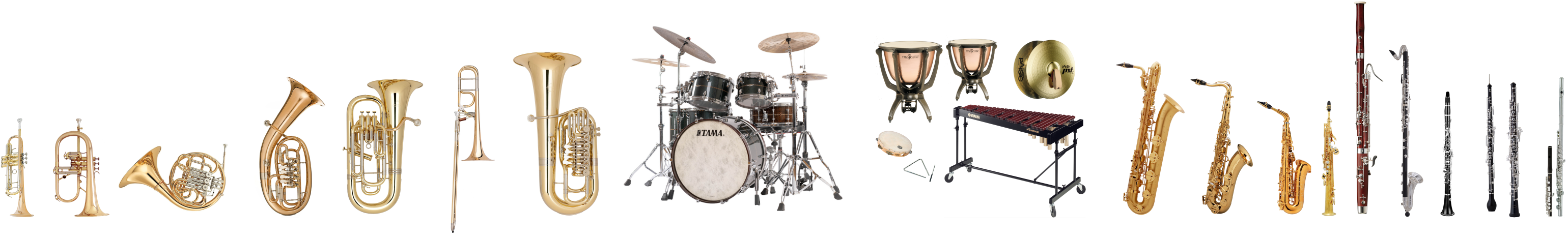 Instrument lernen // Musiker werden Image